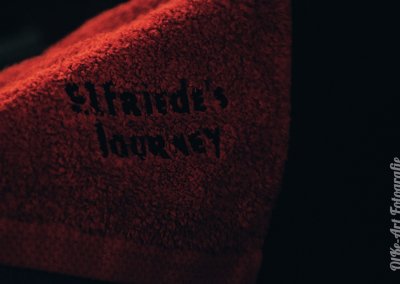 Elfriedes Journey, Livemusik, Konzert, Konzertfotografie, Band